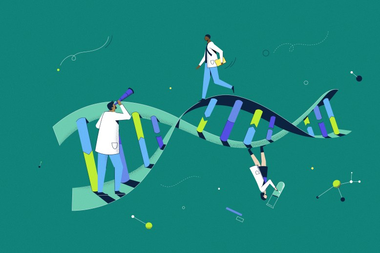 Descubrimiento y desarrollo